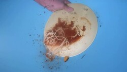 HD Super Slow-Mo: Washing Spaghetti Dishes Stock Footage