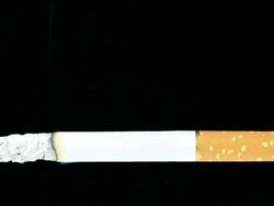 Cigarette Stock Footage