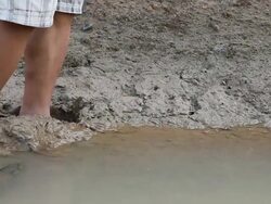 Legs sinking mud. Stock Footage