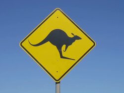 CU Warning sign of kangaroos / Melbourne, Victoria, Australia Stock Footage