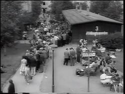 B/W 1961 high angle crowd of East German refugees in line at building / beginning of Berlin Wall Stock Footage