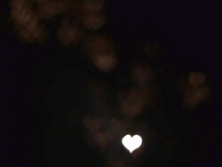 The night sky fireworks. Stock Footage