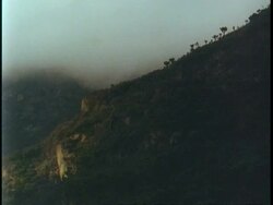 WA fog moving in over jungle covered mountainside, Uganda, Africa Stock Footage