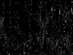 White blinker on trees. Stock Footage