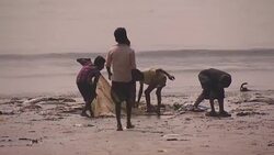 Children Fishing at Versova Beach, Mumbai News Clip