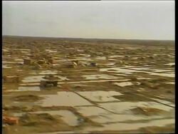 Bangladesh, Sudan, Brazil, Mexico, Nicaragua, Africa News Clip