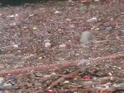 Environmental pollution Stock Footage