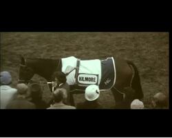 THE GRAND NATIONAL - In Cinemascope News Clip