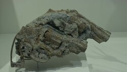 9/11 Tribute Museum Triples in Size News Clip