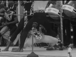 THE COMMONWEALTH DANCES News Clip