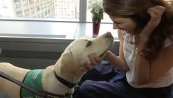 Marisa Tomei wants to empower the visually impaired Instructional Video