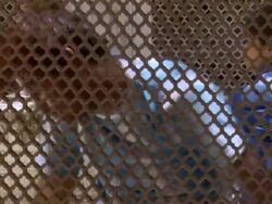 CU  Man suffering from spiritual disorder shaking his head / Delhi, India Stock Footage