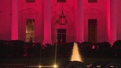 CLEAN : White House turns pink for breast cancer awareness News Clip