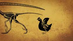 Are Dinosaurs Extinct? Instructional Video