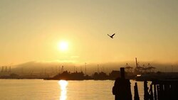 Seattle Shipping Yard Stock Footage