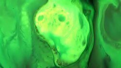 Compilation - Colorful chemical reaction background Stock Footage