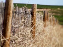 Western Fence Stock Footage
