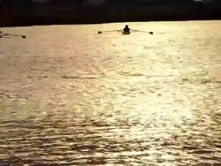 WS  Silhouettes of single and team rowers on shimmering Charlse river AUDIO / Cambridge, Massachusettes, United States Stock Footage