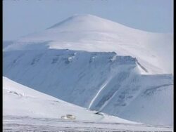 WA Svalbard Reindeer, Rangifer tarandus platyrhynchus, walking across tundra, snow covered mountain in background, Arctic Circle Stock Footage