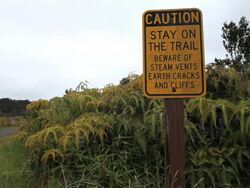 MS Shot of caution sign for steam vents, earth cracks and cliffs surrounded by plants alongside path at steam vents in Volcanoes National Park / Volcano, Hawall, Big Island, United States Stock Footage