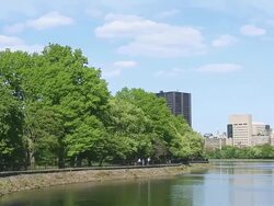WS PAN View of Clouds over fresh green trees and Central Park East Residences at Reservoir / New York, United States  Stock Footage