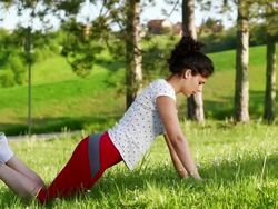 Push ups workout Stock Footage