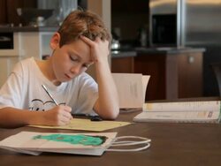 Boy Studying his Homework Stock Footage