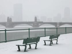 Winter in Boston Stock Footage