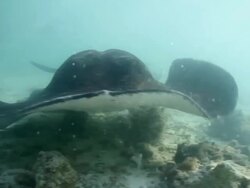 Feel like you're there... Stock Footage