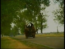 Gypsy carriage on the road to Brasov, Romania Stock Footage