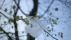 pollution of the environment Stock Footage