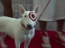 ATMOSPHERE: signage at the Target Celebrates Opening Of East Harlem Location With Star-Studded Party at New York NY.  Stock Footage
