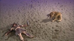 A dead gladiator lies on the sand near a resting lion. Stock Footage