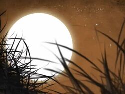 Full Moon and Grunge Paper Background. Stock Footage