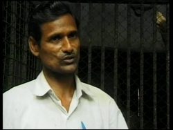 INDIA: RANGINI THE TIGON MAY BE LAST SURVIVING ANIMAL OF HER KIND News Clip