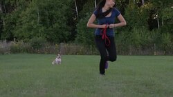 Come Here Stock Footage