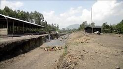 CLEAN : DRC works to protect nature reserve News Clip