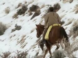 TS Cowboy trotting on horseback along snowy hillside with dog / Shell, Wyoming, United States Stock Footage