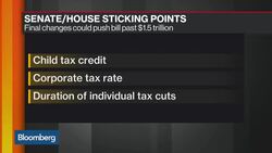 GOP Has 5-7 Day Tax Plan Window, Says Terry Haines News Clip
