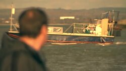 Side effects of antidepressants on marine life News Clip