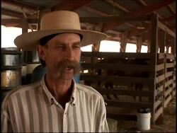 Homes burn in wildfires near Yosemite national park News Clip