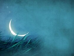 Moon And Blue Night Landscape Stock Footage