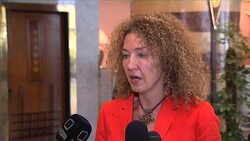 UN spokeswomen comments on findings of observers News Clip