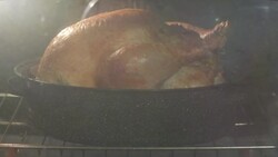 TIME LAPSE CLOSE UP whole turkey cooks in pot in oven Stock Footage