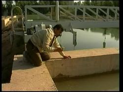 IRAQ: WATER CONTAMINATION News Clip