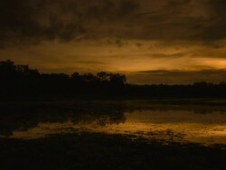 Wetlands at dawn or dusk Stock Footage
