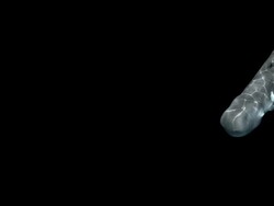 Whale Close Up Stock Footage