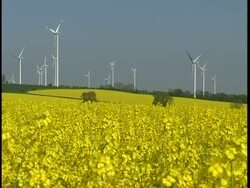 Wind generator with a canola field in the forground Stock Footage