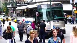 MTA Buses via 5th Ave, New York City Stock Footage