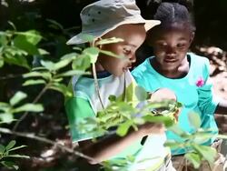 African friends playing in the nature Stock Footage
